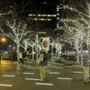 Occupy Wall Street To Celebrate Christmas At Zuccotti Park